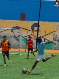 Cricket Academy