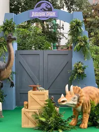 Themed Event Decor & Styling