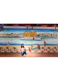 Custom Wall Murals