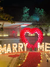 Romantic Occasion Decoration