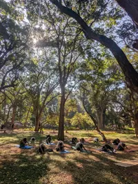 Multi-Style Yoga Instruction
