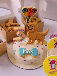 Gourmet Pet Treats