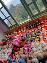 Bulk & Wholesale Orders