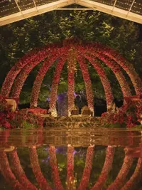 Event Design & Decoration