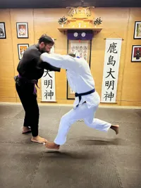 Brazilian Jiu Jitsu (BJJ)