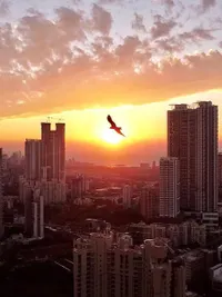 Aerial, Architectural & Landscape Photography