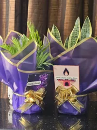 Plant Gifting