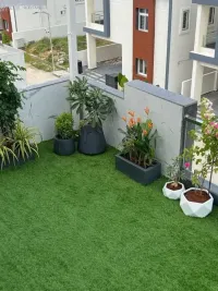 Interior Plantscaping