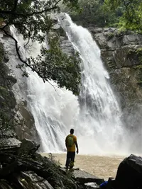 Custom Private & Corporate Tours
