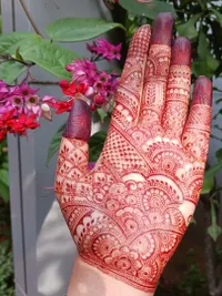 Organic Henna Products
