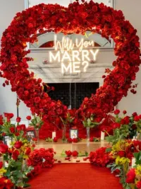 Romantic Occasion Decoration