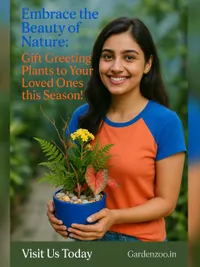 Plant Gifting