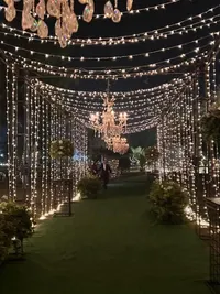 Party & Celebration Decor