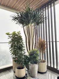 Designer Pots & Planters
