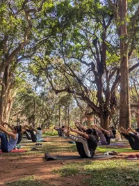 Outdoor Group Yoga