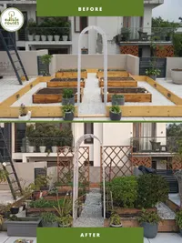 Urban Gardening & Landscaping