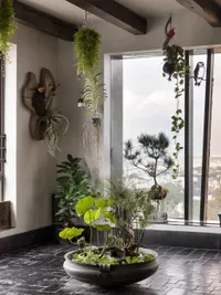 Living Botanical Art & Arrangements