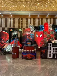 Birthday Party Decoration