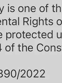 Constitutional Law Services