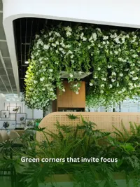 Corporate Plant Solutions