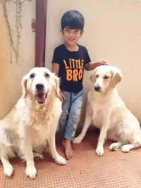 In-Home Pet Boarding