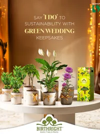 Curated Green Gifting