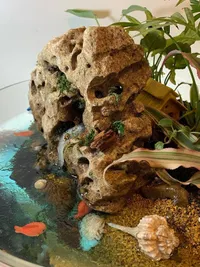 Decorative Miniature Gardens