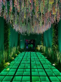 Wedding & Event Design and Production