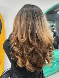 Salon Hair Services