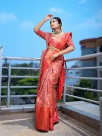 Saree Styling Services