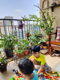 Plant & Garden Consultation