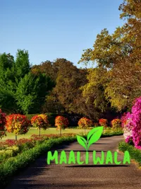 Landscape Design & Installation