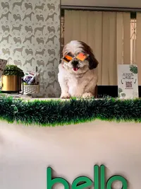 Pet Supplies