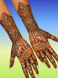 Festival & Occasion Mehandi