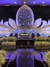 Wedding & Pre-Wedding Decoration