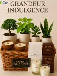 Corporate & Personal Green Gifting