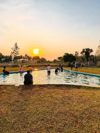 Dog Park & Pool