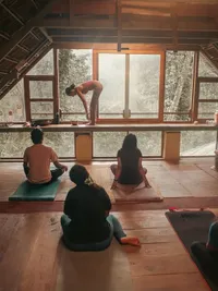 Wellness Retreats & Workshops