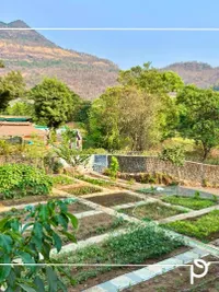 Edible Garden Design & Installation