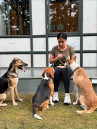 Dog Boarding & Daycare