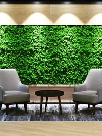 Moss Wall Installation