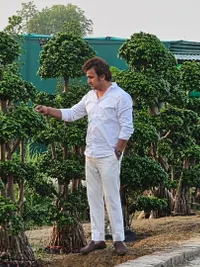 Plant Sales
