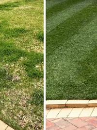 Garden Maintenance