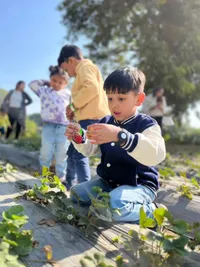 Farm-Fresh Produce & Products