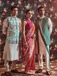 Curated Traditional Sarees