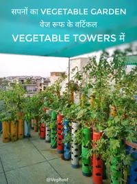 Full-Service Vertical Garden Installation (Delhi NCR)