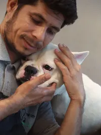 Pet Grooming
