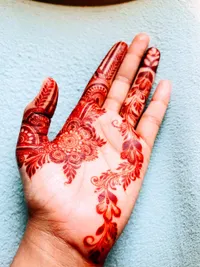 Organic Henna Cones