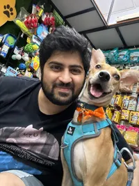 Animal Rescue & Rehabilitation