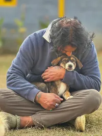 Animal Communication